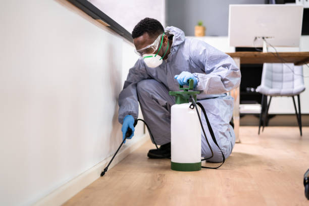 Best Real Estate Pest Inspections  in Twinsburg Heights, OH